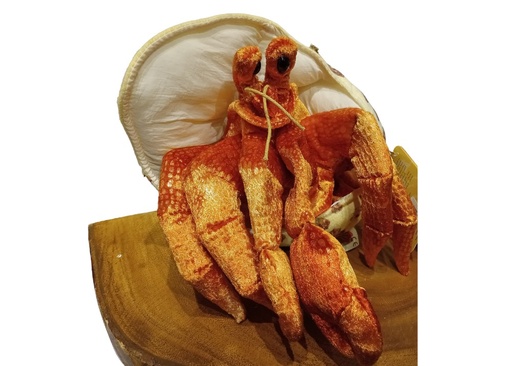 [3551] Hermit Crab Puppet