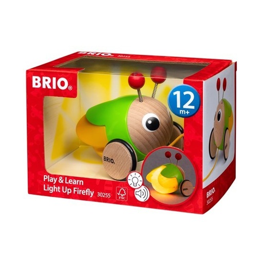 [11312] Play & Learn Light Up Firefly