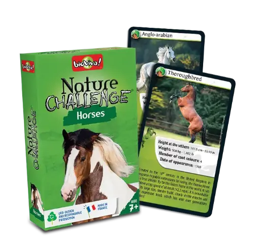 [16596] Nature Challenge / Horses