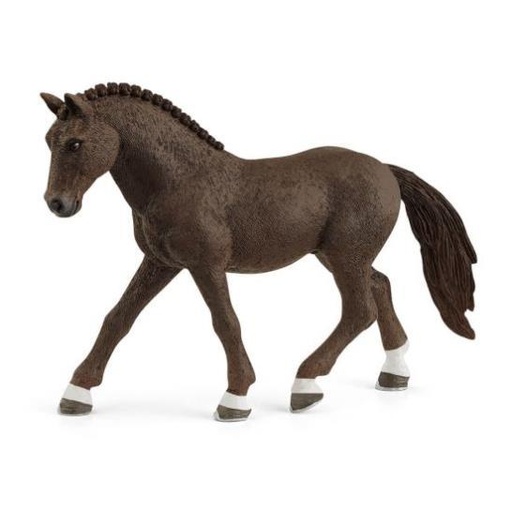 [11929] (Gelding) German Riding Pony