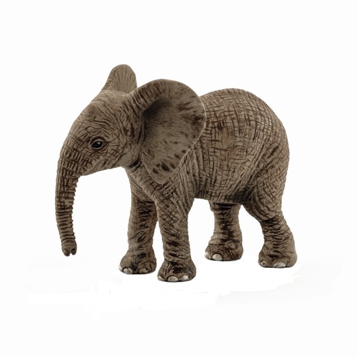 [7745] African Elephant Calf