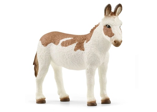 [16197] American Spotted Donkey