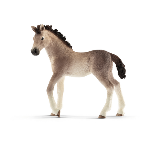 [7735] Andalusian Foal
