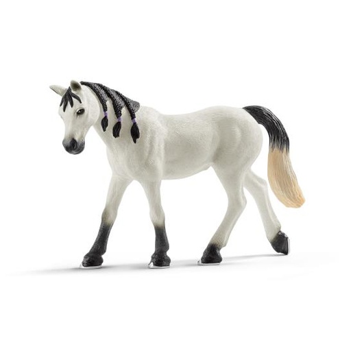 [13051] Arabian Mare 13908