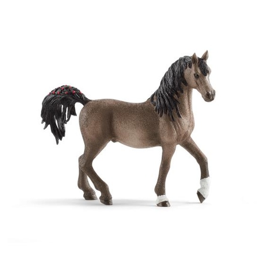 [11636] Arabian Stallion