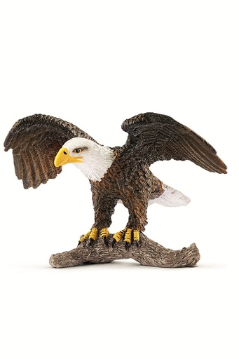 [7546] Bald Eagle
