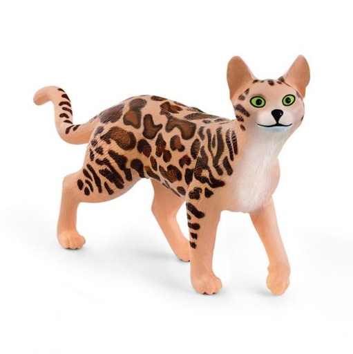 [11925] Bengal Cat