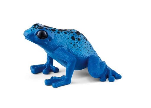 [15522] Blue Poison Dart Frog 14864