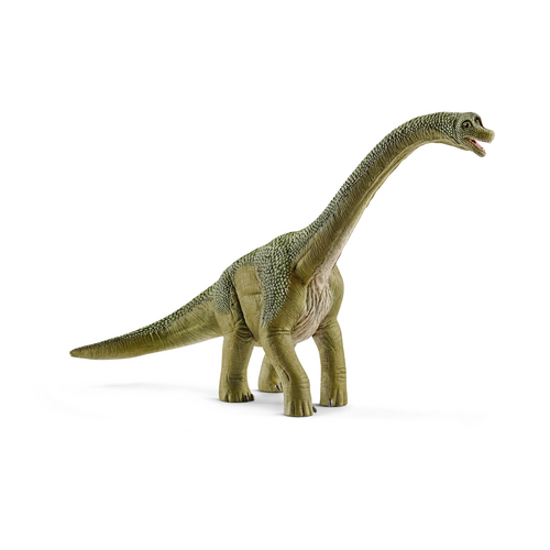 [11596] Brachiosaurus