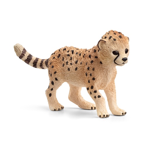 [7228] Cheetah Cub