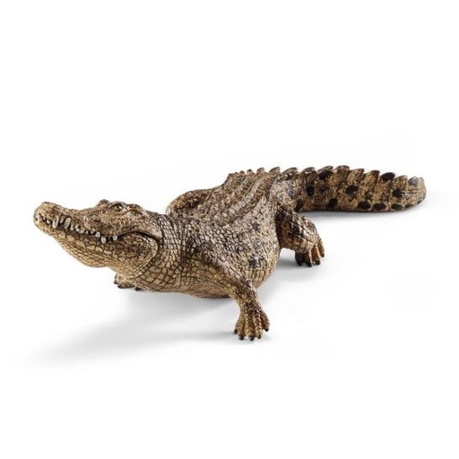 [5943] Crocodile