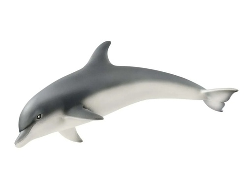 [15519] Dolphin 14808