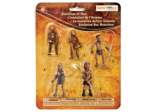 [15568] Evolution of Man