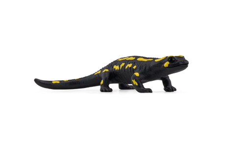 [16813] Fire Salamander