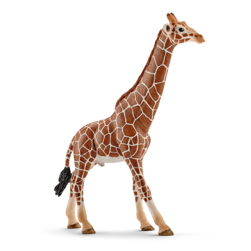 [12308] Giraffe - Male