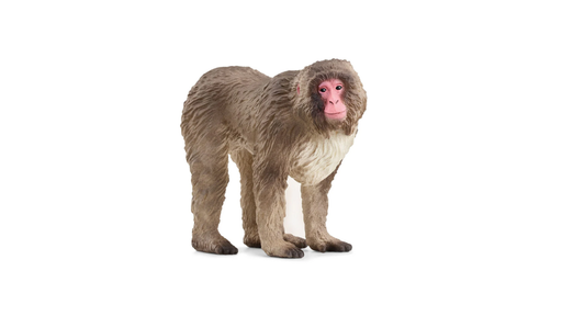 [16814] Japanese Macaque