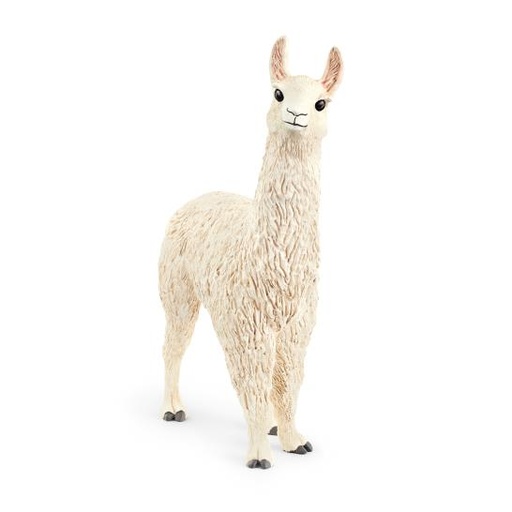 [11926] Llama