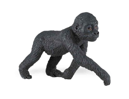 [3030] Lowland Gorilla Baby