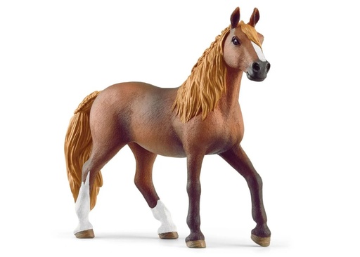 [15215] Paso Peruano Mare