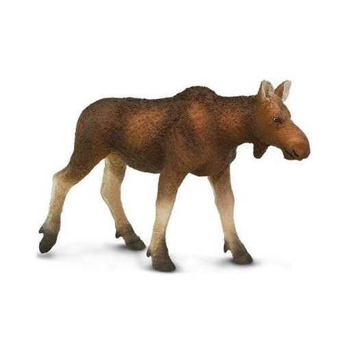 [11021] Moose Cow