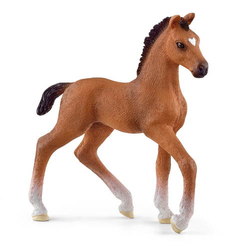[13681] Oldenburger Foal