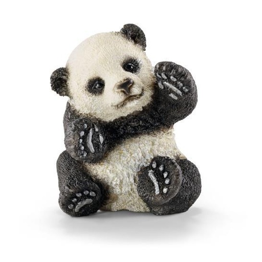 [5942] Panda Cub Playing