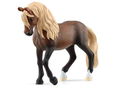 [15213] Paso Peruano Stallion 13952
