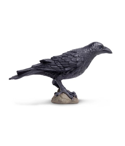 [9315] Raven