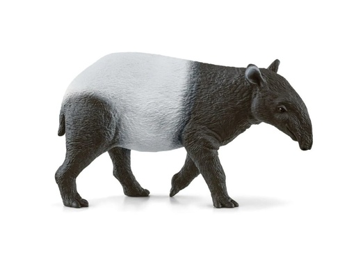 [16201] Tapir