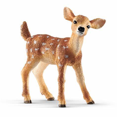 [7739] White-Tailed Fawn