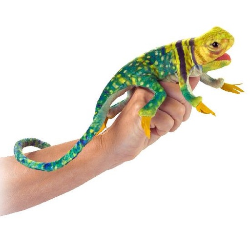 [16339] Mini Collared Lizard Puppet