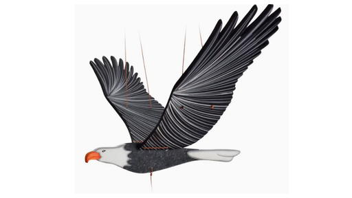 [16877] American Bald Eagle - Flying  Bird Mobile