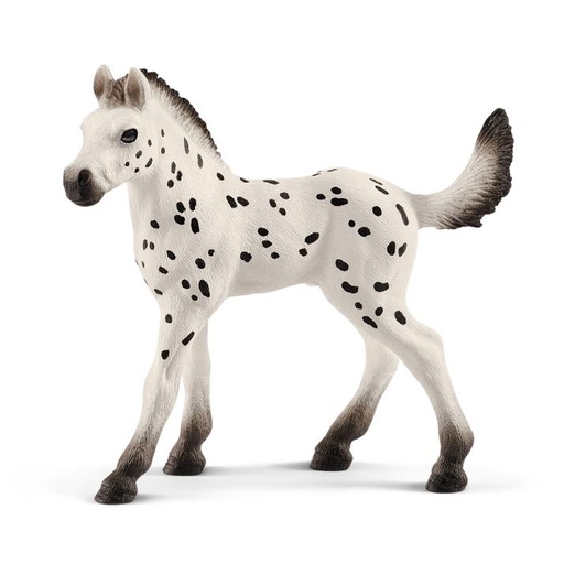 [14444] Knapstrupper Foal
