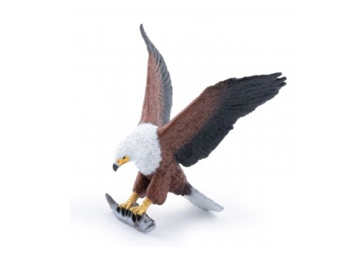 [15043] African Fish Eagle