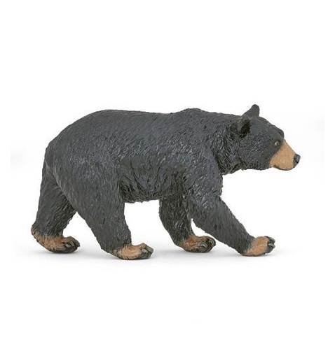 [12764] American Black Bear - Walking