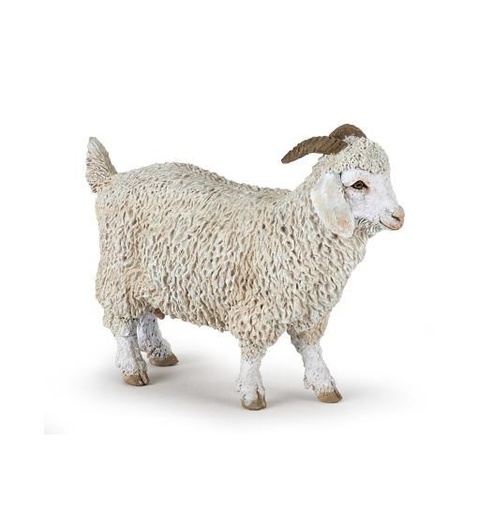 [12081] Angora Goat