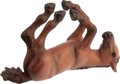 [15421] Arabian Foal