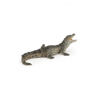 [6183] Baby Crocodile