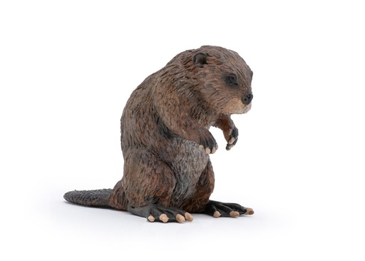[14464] Beaver