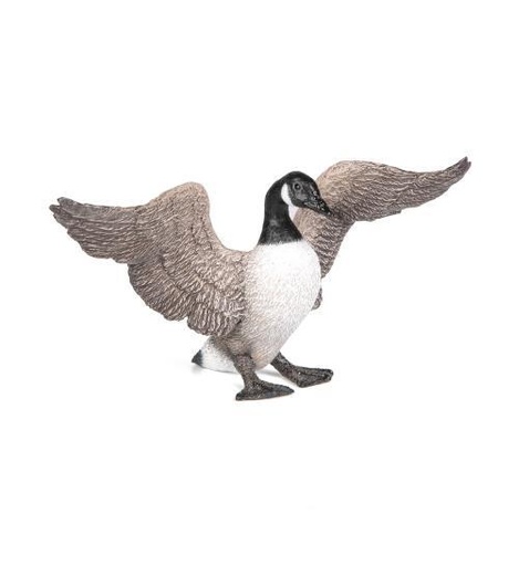 [12757] Canada Goose