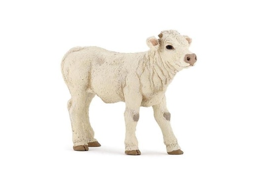 [13999] Charolais Calf