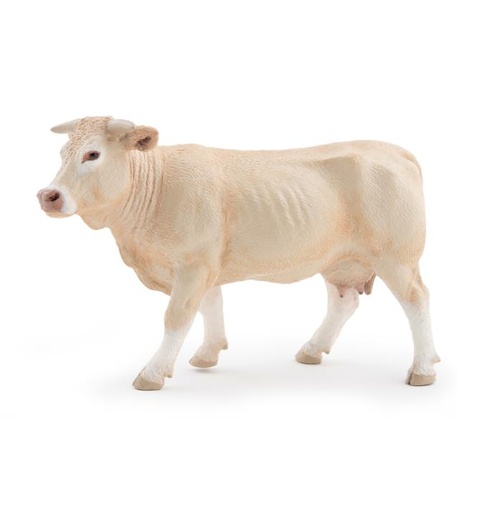 [15405] Charolais Cow