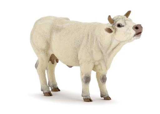[14002] Charolais Cow Mooing