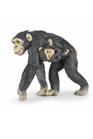 [7281] Chimpanzee with Baby