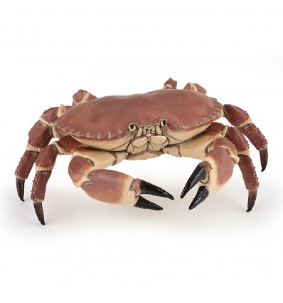 [11402] Crab
