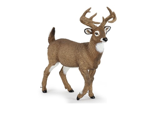 [12337] Deer (White-Tailed)