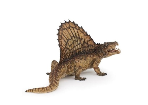 [14016] Dimetrodon