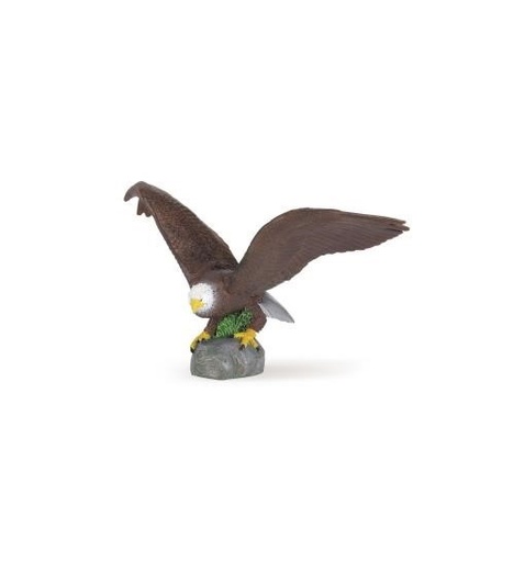 [12321] Eagle