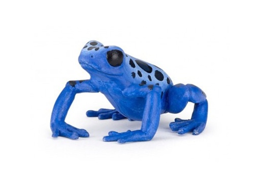 [15406] Equatorial Blue Frog
