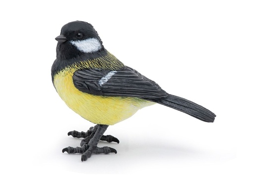 [14461] European Tit